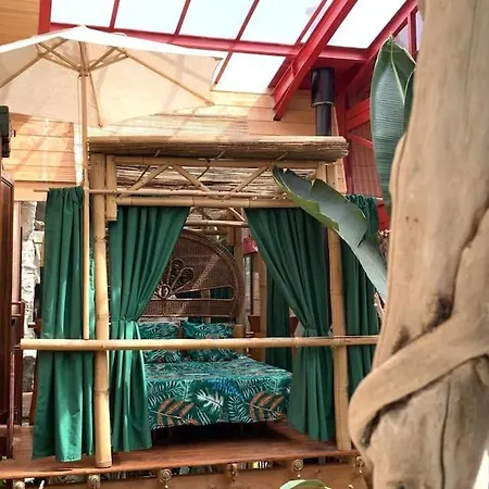 Le Jardin D'hiver Сasa de vacaciones Thuir