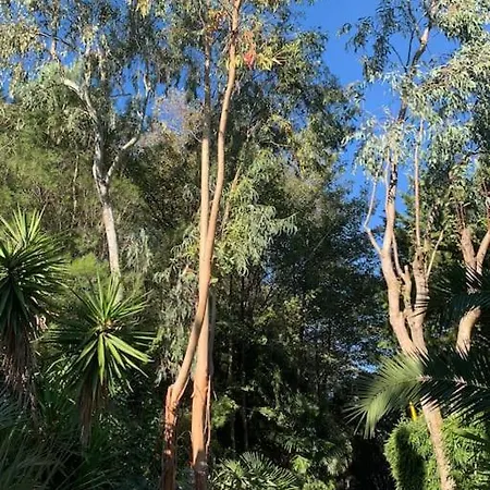 Le Jardin D'hiver Thuir