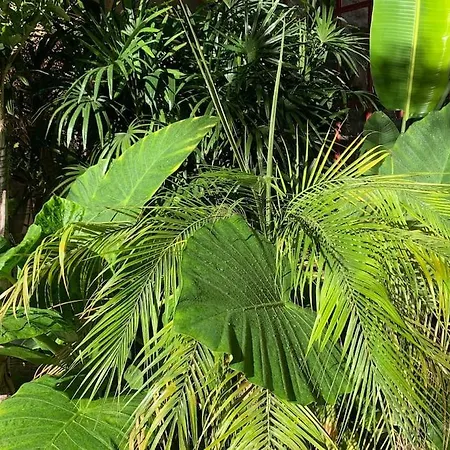Le Jardin D'hiver Сasa de vacaciones *